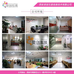 西安靈創互易 專注抖音運營與網站建設，助力本地企業數字化轉型